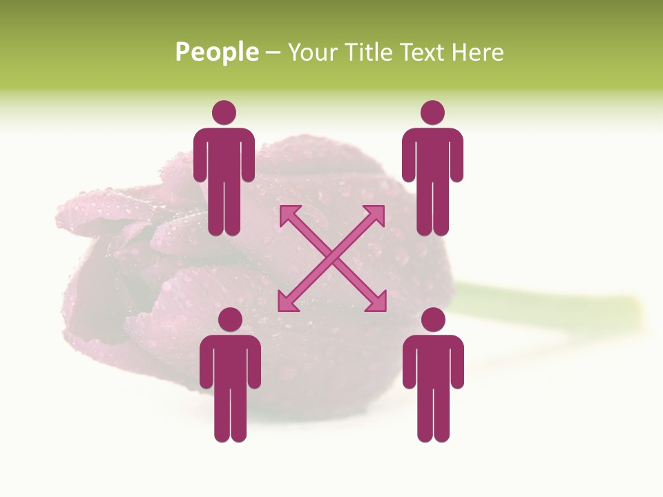 Fresh Color Cheerful PowerPoint Template