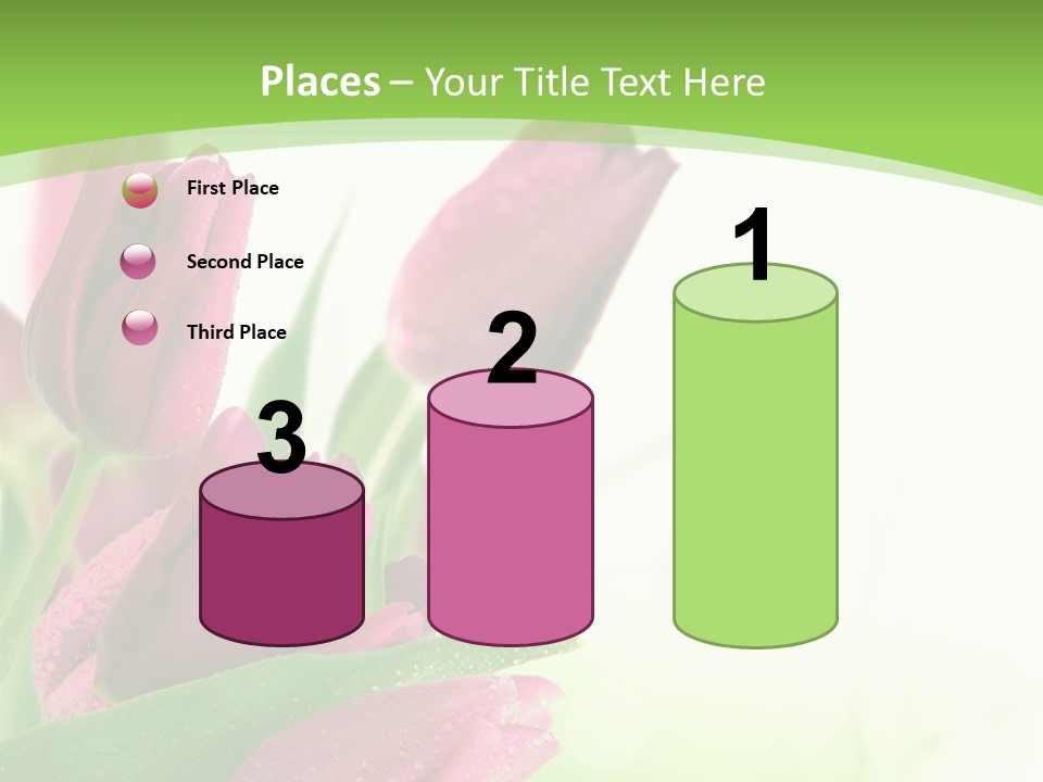 Seasonal Netherlands Cheerful PowerPoint Template