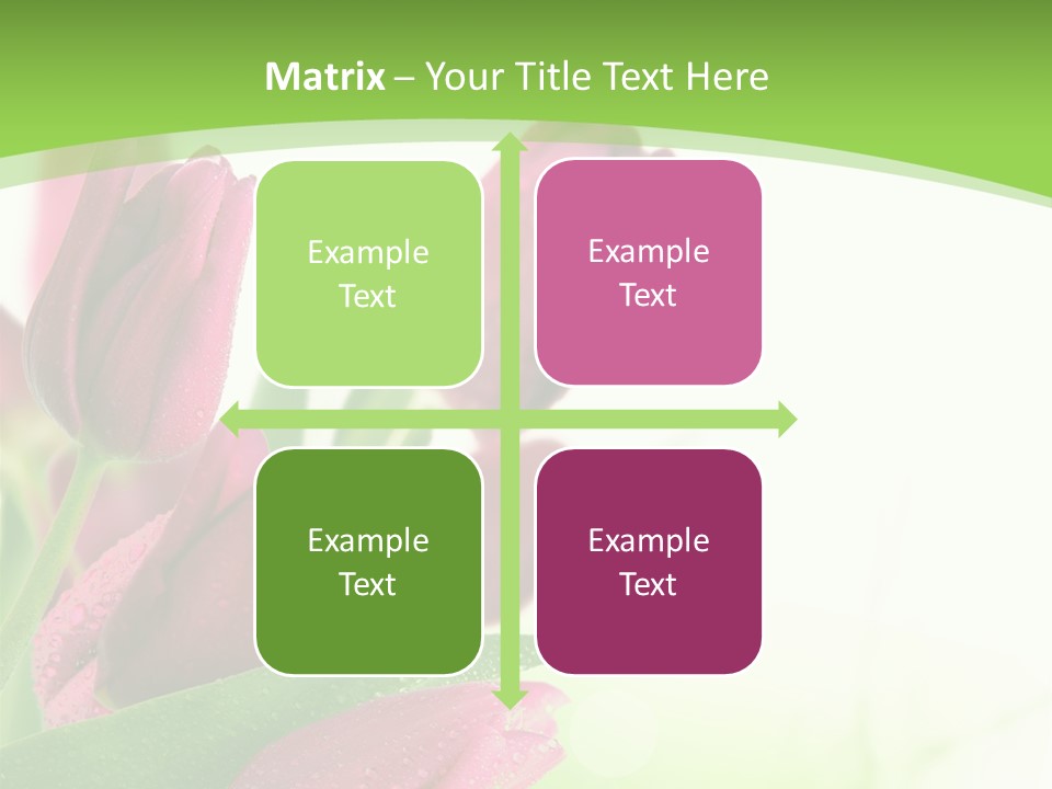 Seasonal Netherlands Cheerful PowerPoint Template