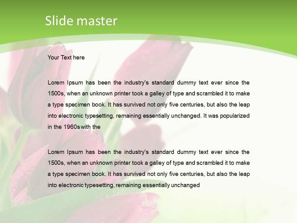 Seasonal Netherlands Cheerful PowerPoint Template