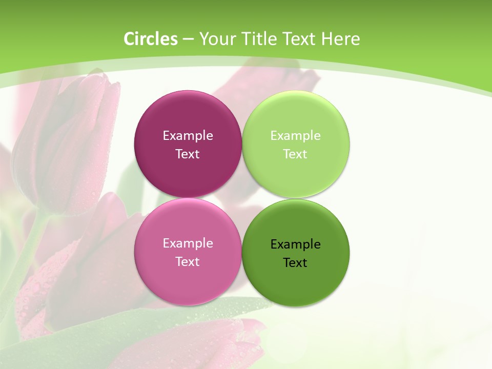 Seasonal Netherlands Cheerful PowerPoint Template