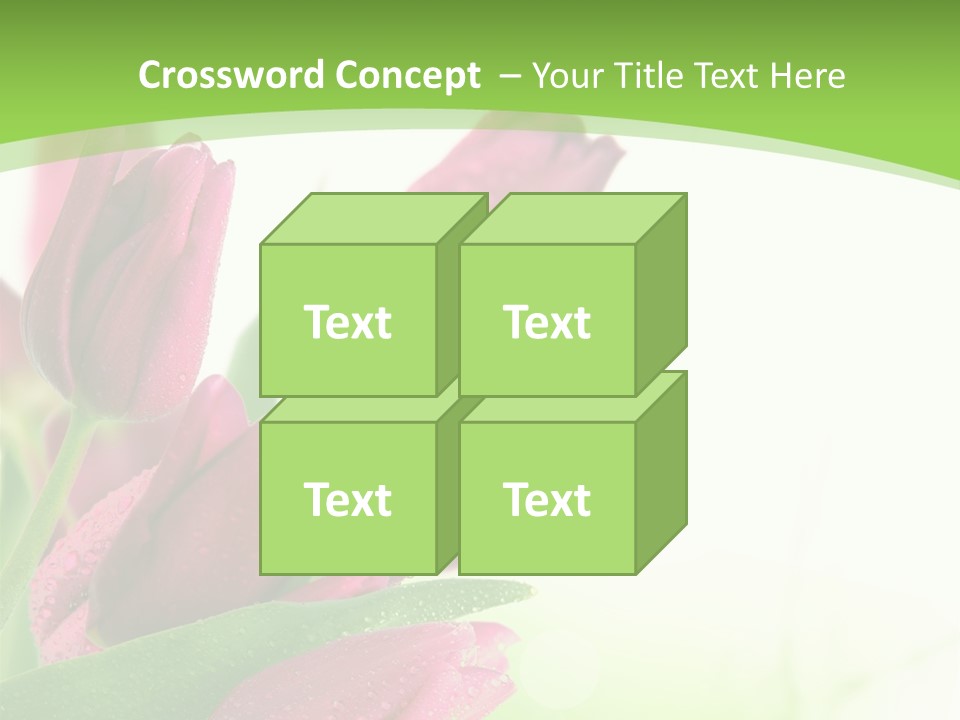 Seasonal Netherlands Cheerful PowerPoint Template