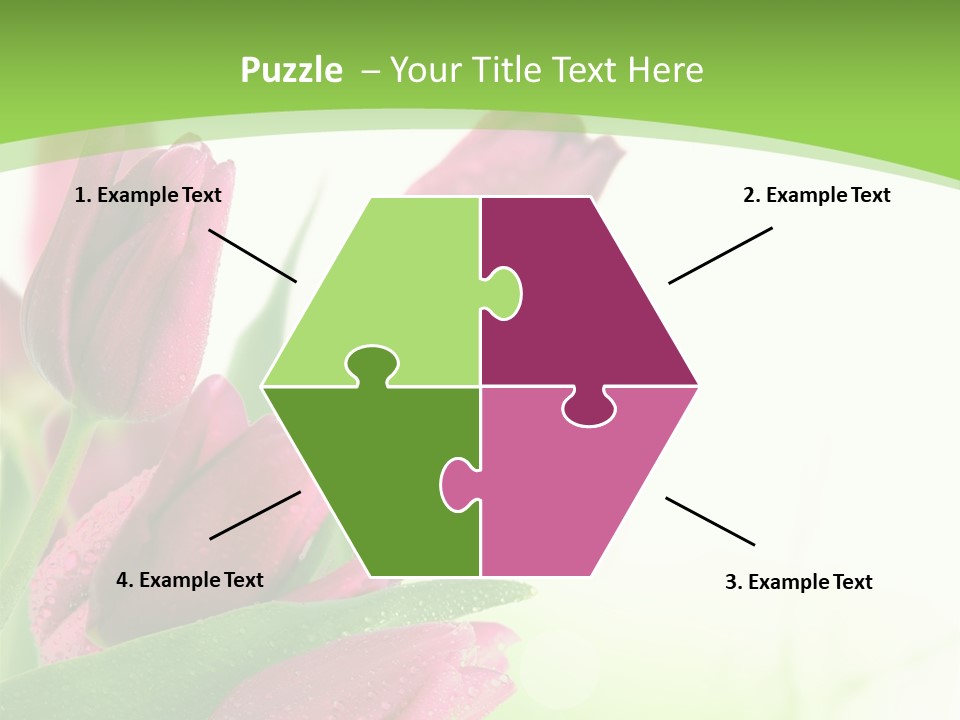 Seasonal Netherlands Cheerful PowerPoint Template