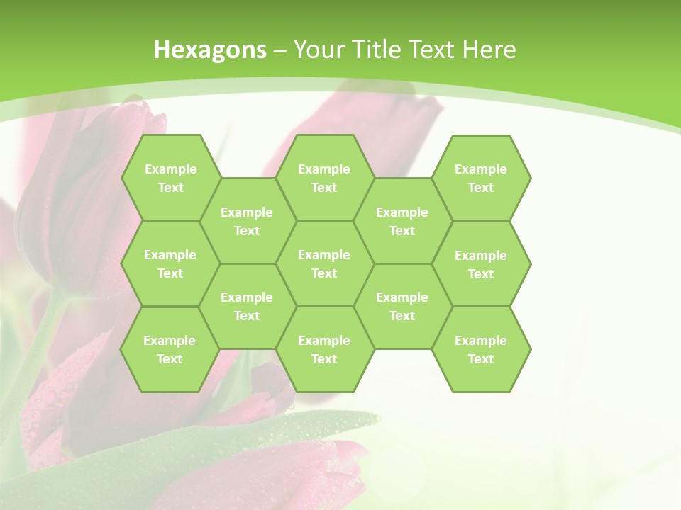 Seasonal Netherlands Cheerful PowerPoint Template