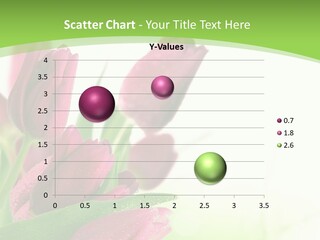 Seasonal Netherlands Cheerful PowerPoint Template