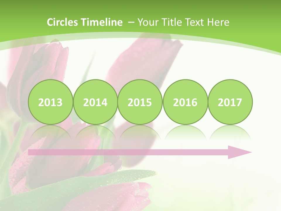Seasonal Netherlands Cheerful PowerPoint Template