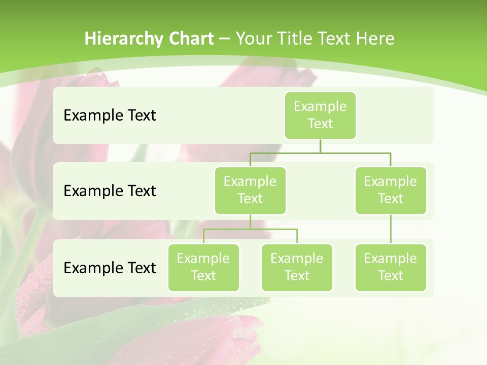 Seasonal Netherlands Cheerful PowerPoint Template