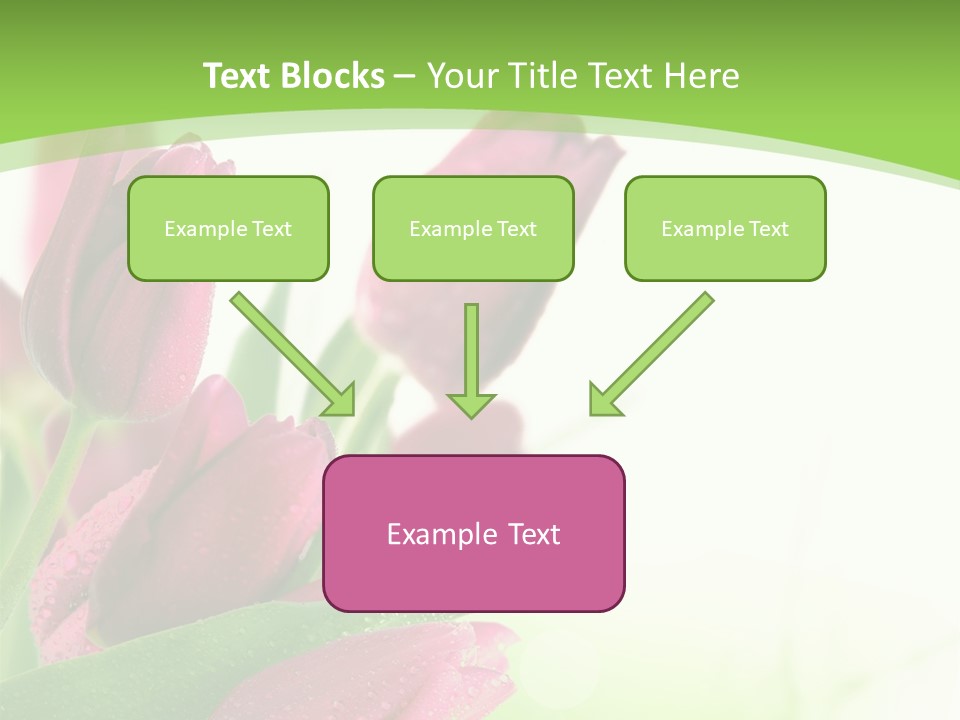 Seasonal Netherlands Cheerful PowerPoint Template