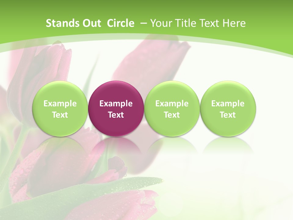 Seasonal Netherlands Cheerful PowerPoint Template