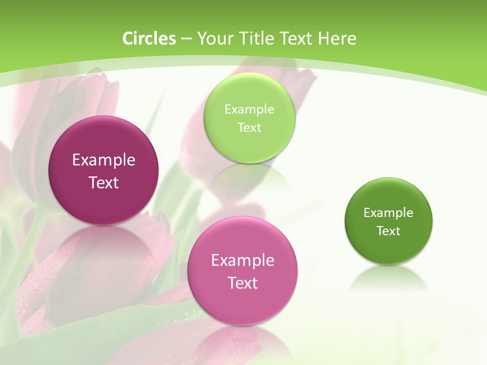 Seasonal Netherlands Cheerful PowerPoint Template