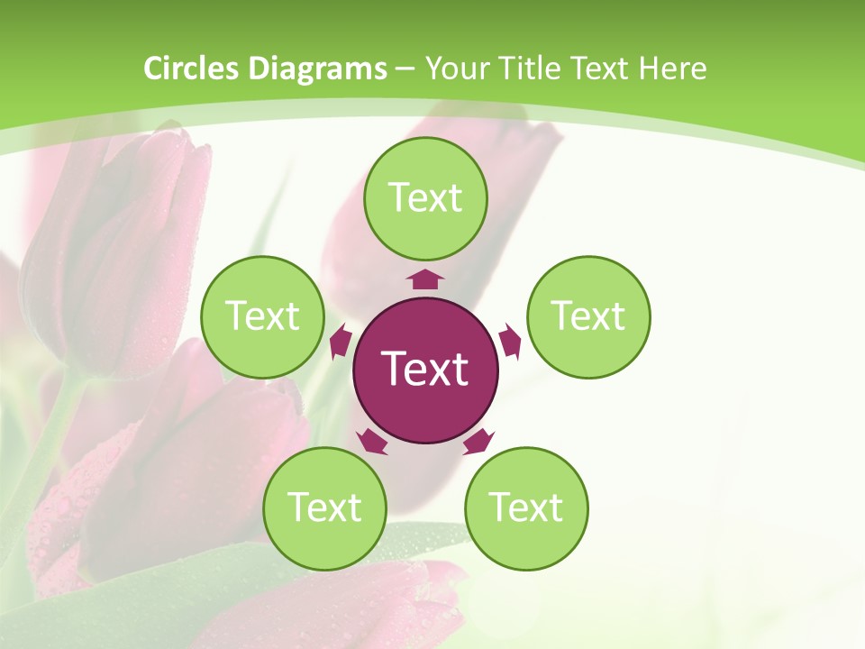 Seasonal Netherlands Cheerful PowerPoint Template