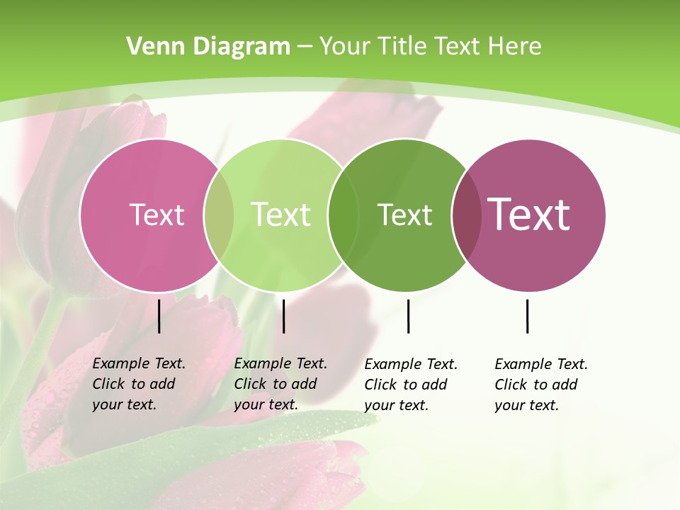 Seasonal Netherlands Cheerful PowerPoint Template