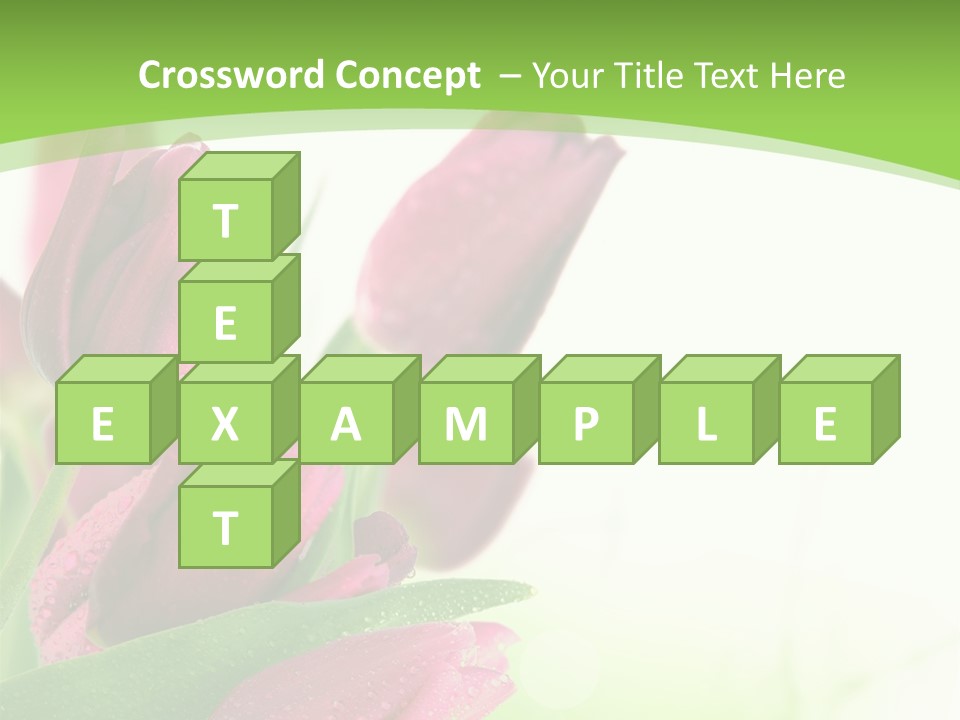 Seasonal Netherlands Cheerful PowerPoint Template