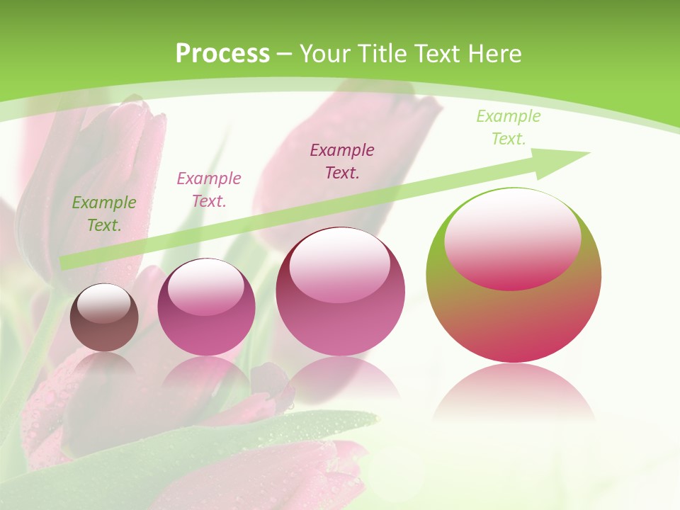 Seasonal Netherlands Cheerful PowerPoint Template