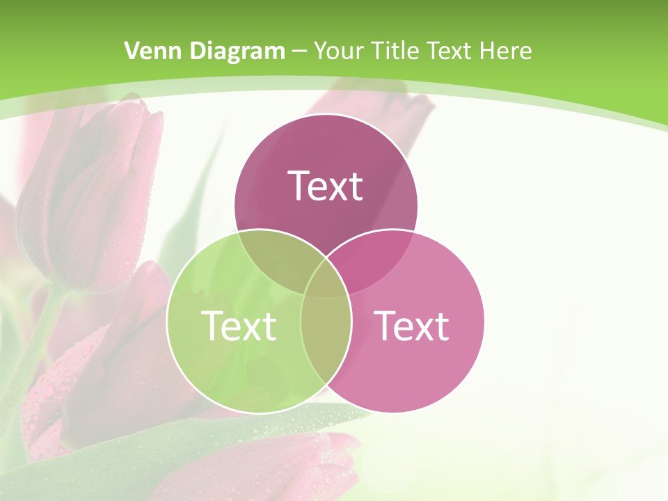 Seasonal Netherlands Cheerful PowerPoint Template