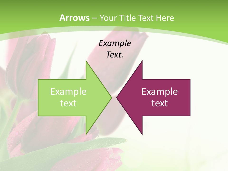 Seasonal Netherlands Cheerful PowerPoint Template