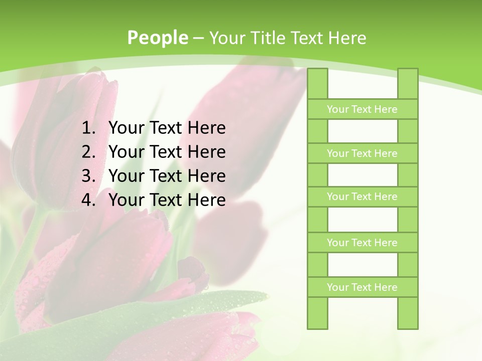 Seasonal Netherlands Cheerful PowerPoint Template