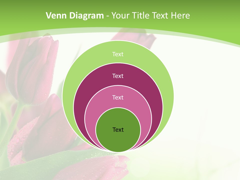 Seasonal Netherlands Cheerful PowerPoint Template