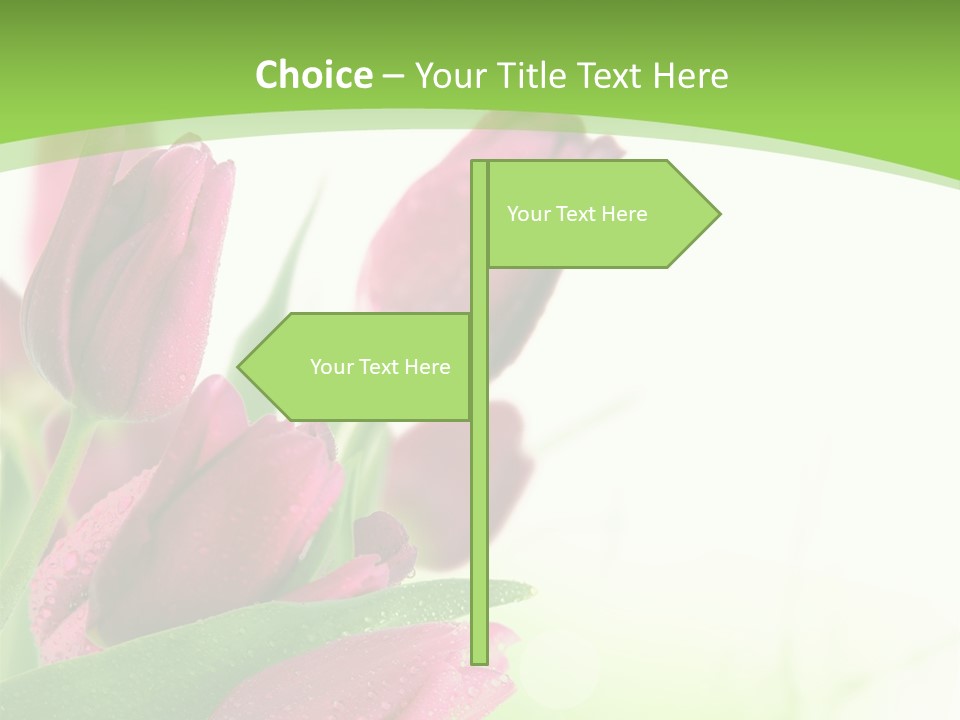 Seasonal Netherlands Cheerful PowerPoint Template