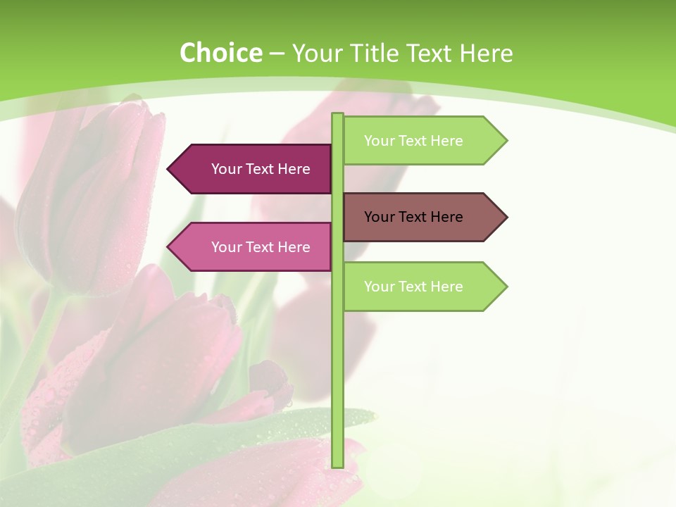 Seasonal Netherlands Cheerful PowerPoint Template