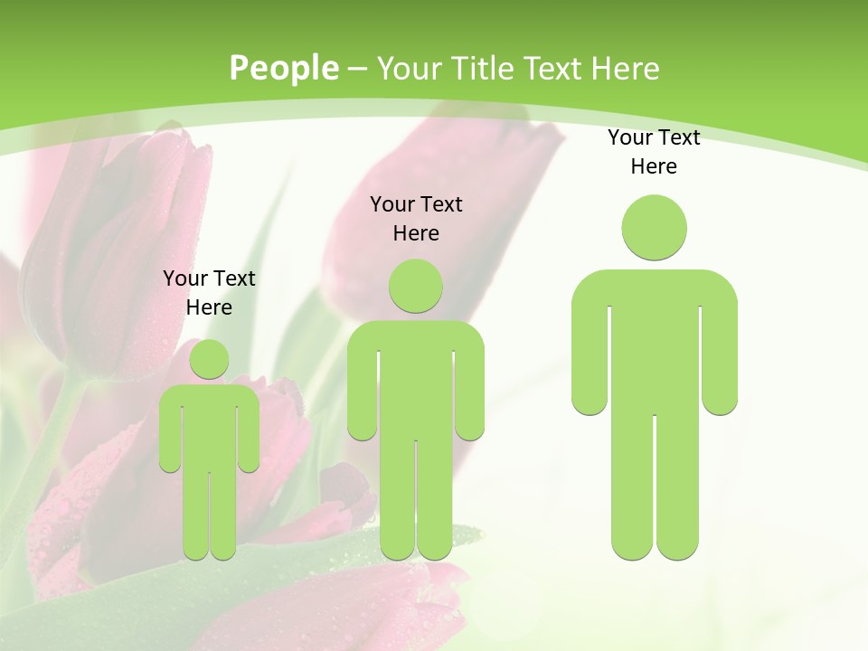 Seasonal Netherlands Cheerful PowerPoint Template