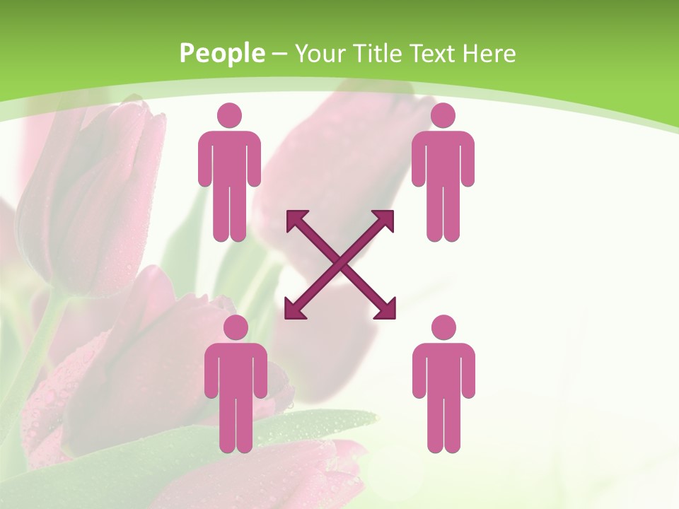 Seasonal Netherlands Cheerful PowerPoint Template