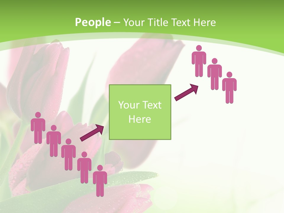 Seasonal Netherlands Cheerful PowerPoint Template