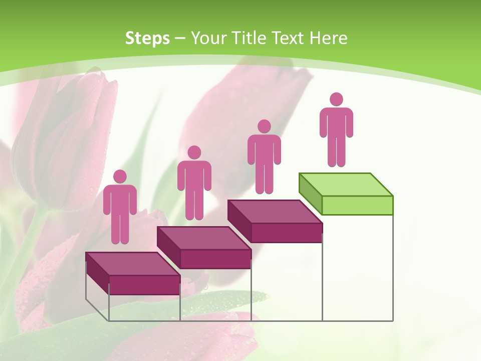 Seasonal Netherlands Cheerful PowerPoint Template