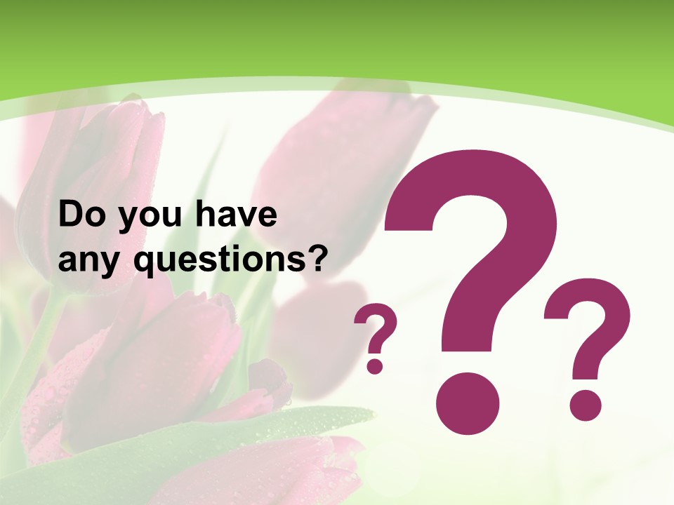 Seasonal Netherlands Cheerful PowerPoint Template