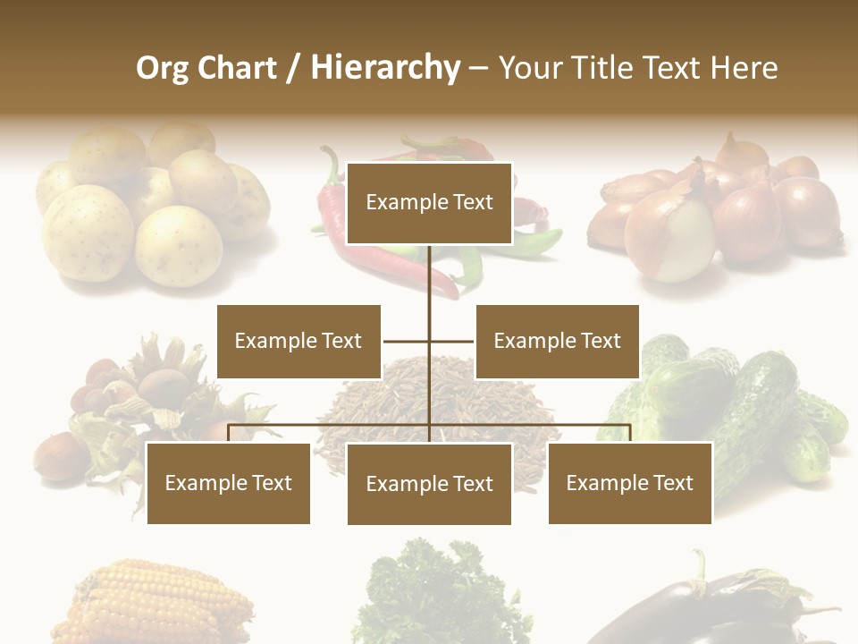 Garden Nut Low Calorie PowerPoint Template