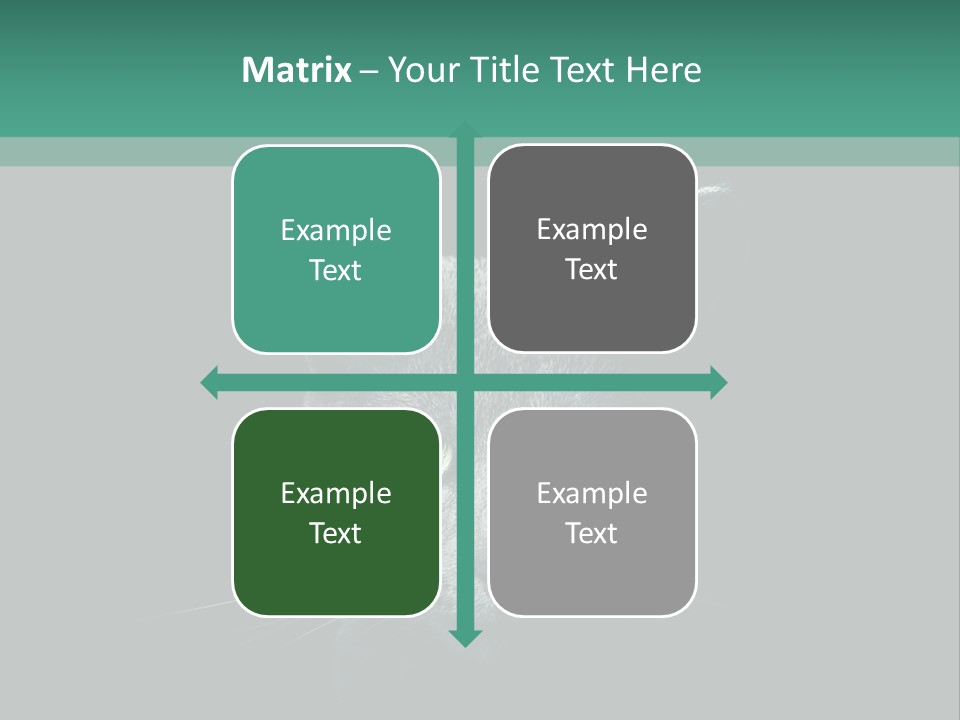 Background Adorable Face PowerPoint Template