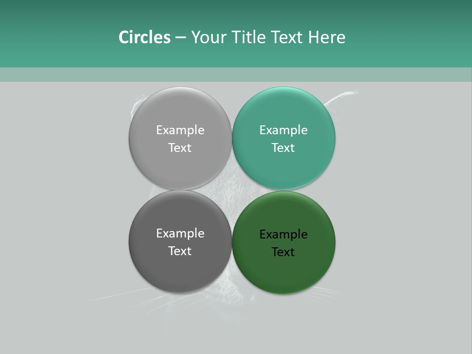 Background Adorable Face PowerPoint Template