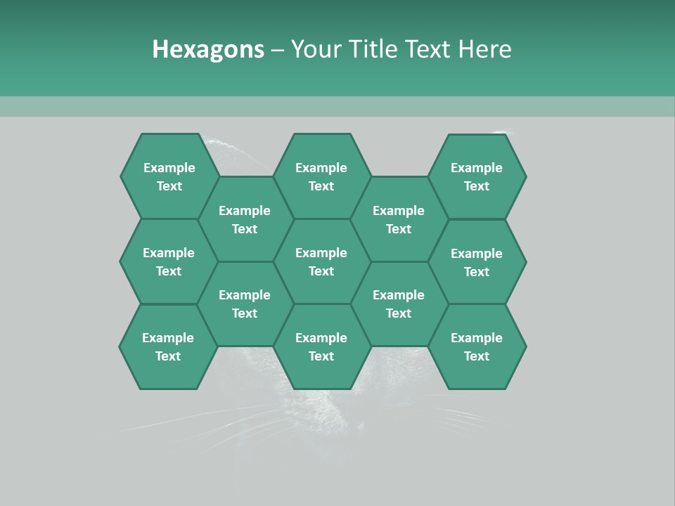 Background Adorable Face PowerPoint Template