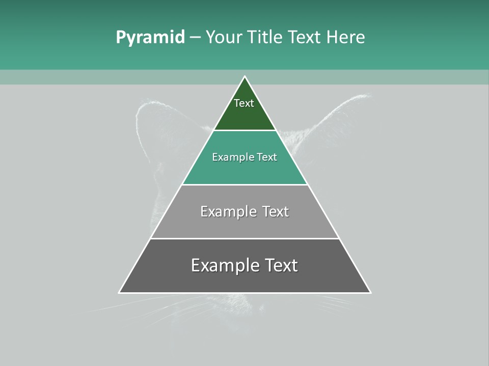Background Adorable Face PowerPoint Template