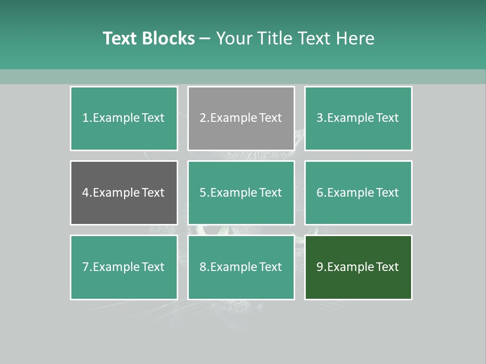 Background Adorable Face PowerPoint Template