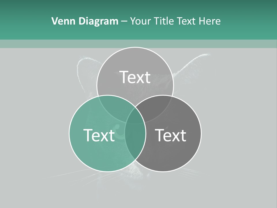 Background Adorable Face PowerPoint Template
