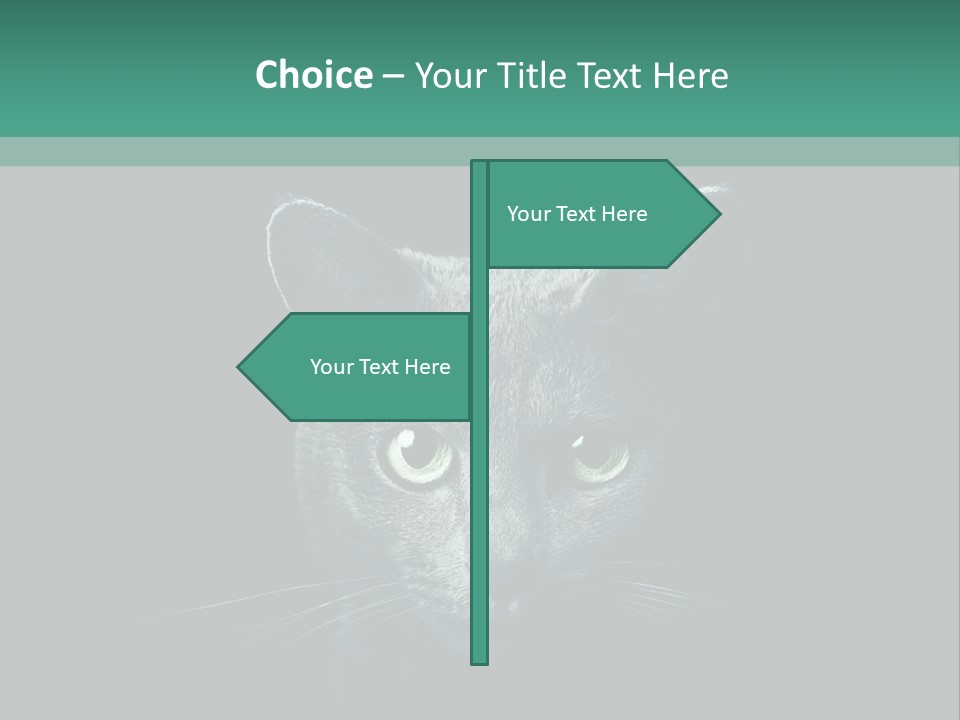 Background Adorable Face PowerPoint Template