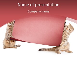 Text Funny Cat PowerPoint Template