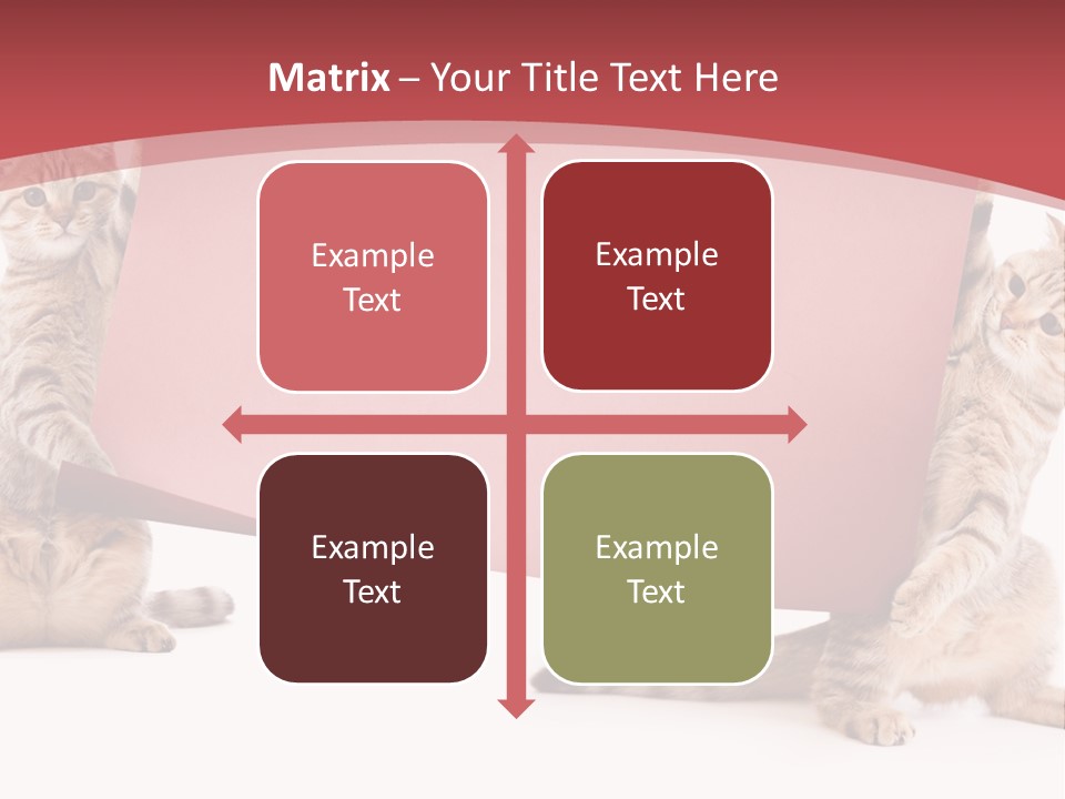 Text Funny Cat PowerPoint Template