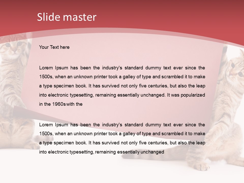 Text Funny Cat PowerPoint Template
