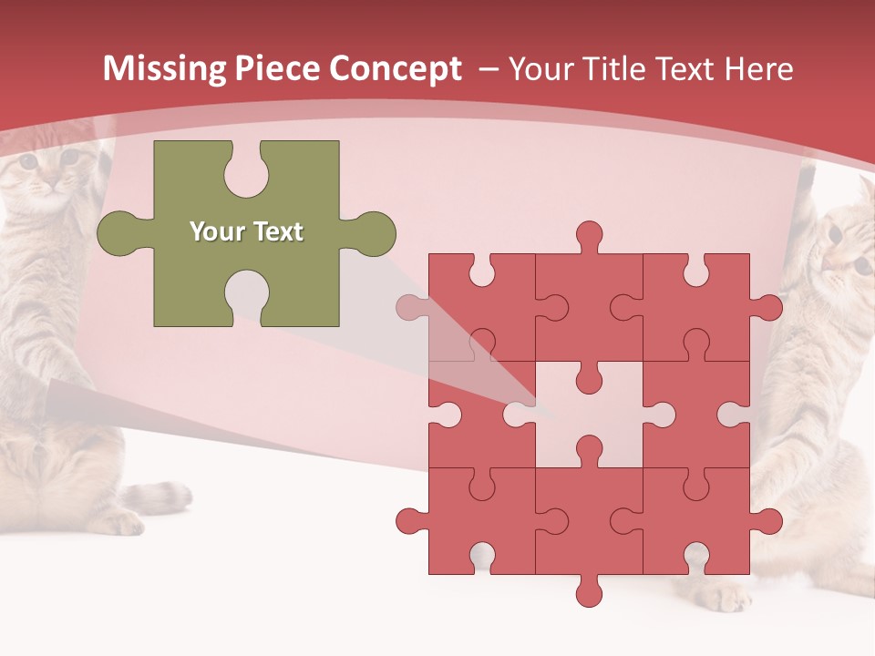 Text Funny Cat PowerPoint Template