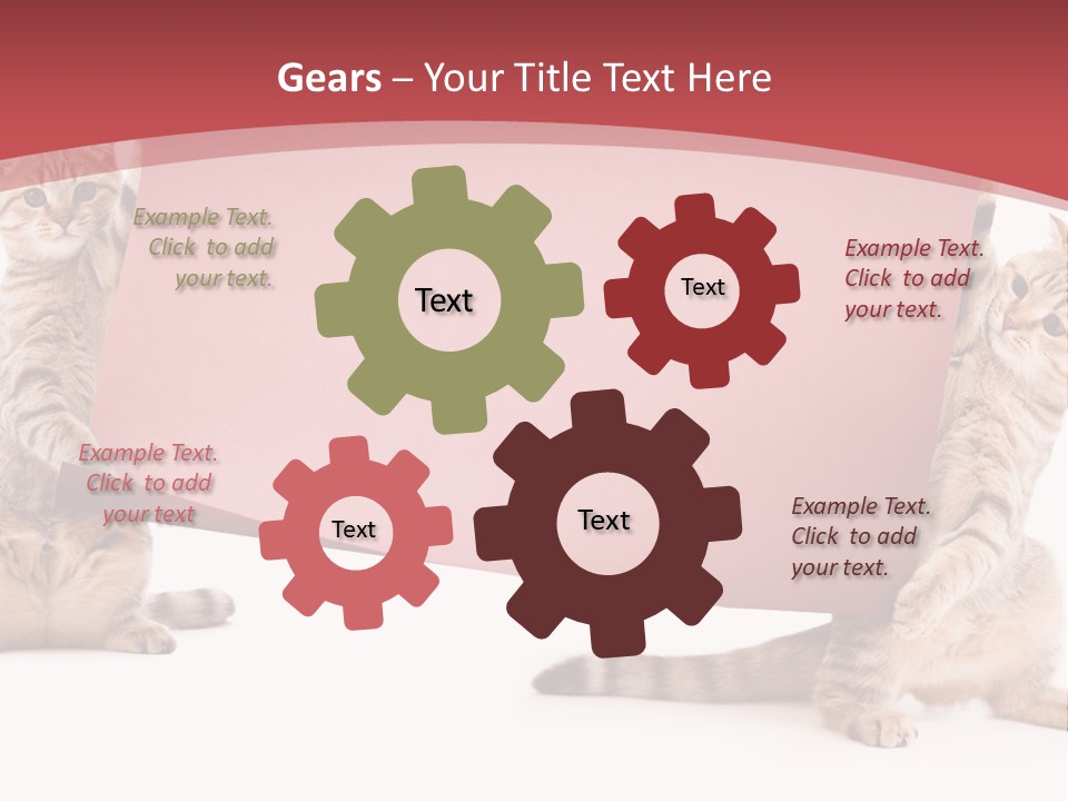 Text Funny Cat PowerPoint Template