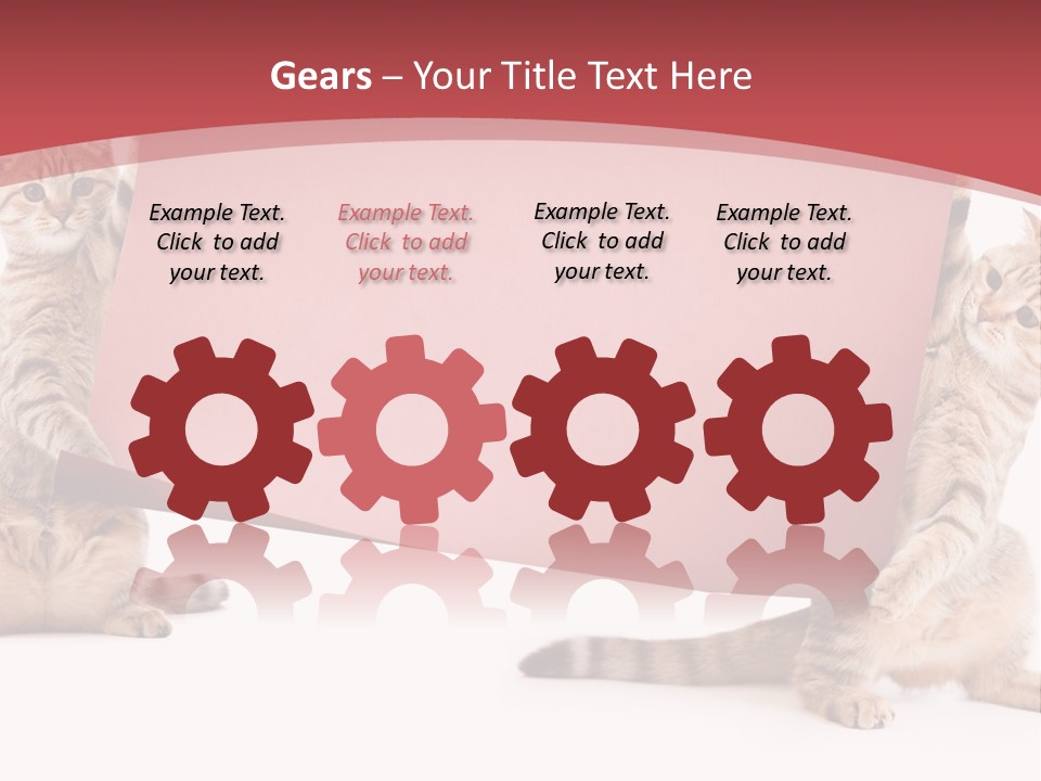 Text Funny Cat PowerPoint Template