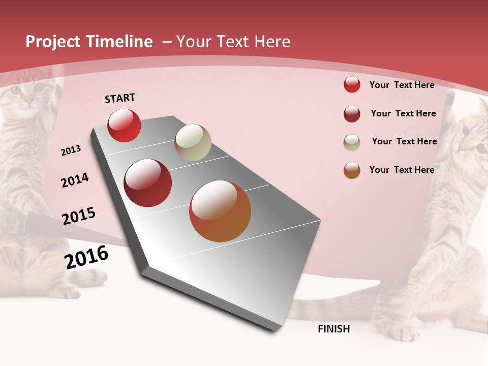 Text Funny Cat PowerPoint Template