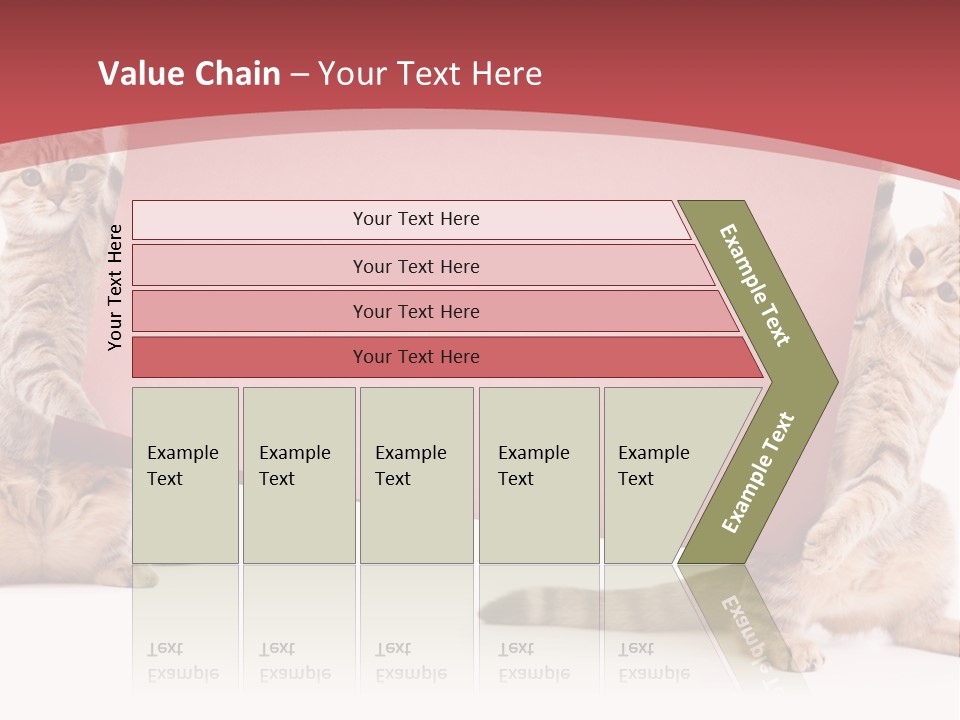 Text Funny Cat PowerPoint Template