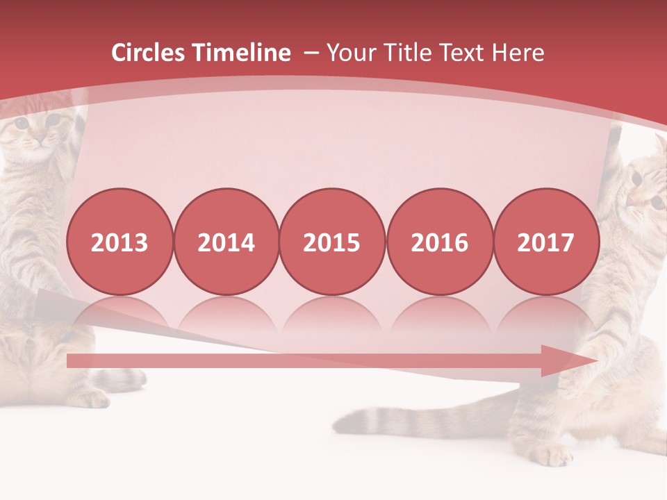 Text Funny Cat PowerPoint Template
