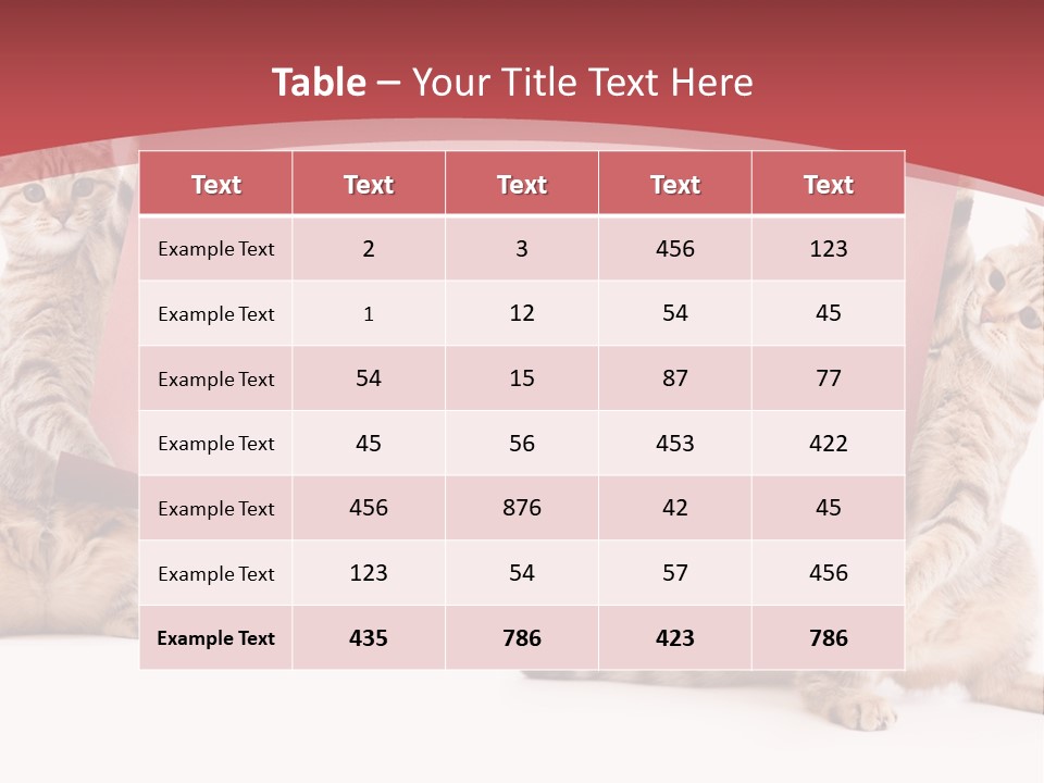 Text Funny Cat PowerPoint Template