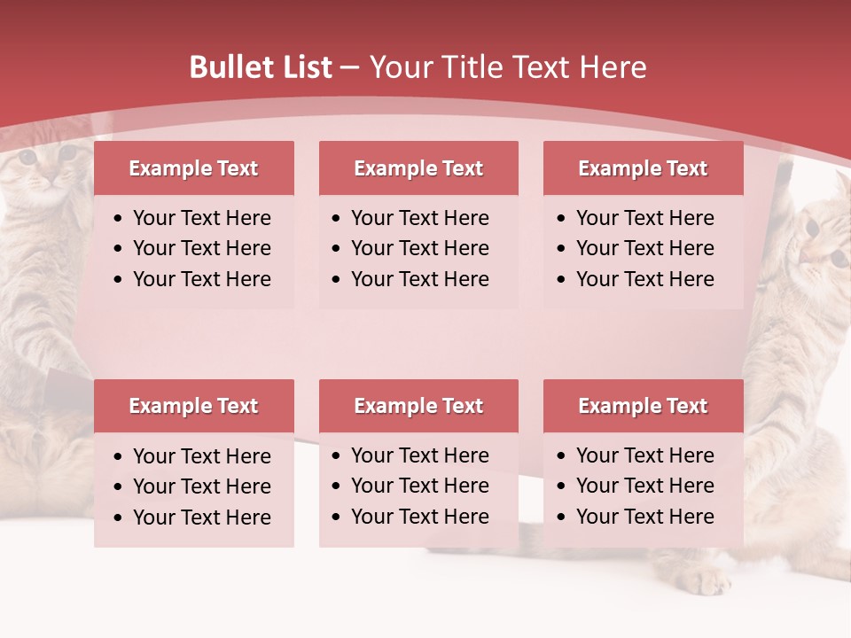 Text Funny Cat PowerPoint Template