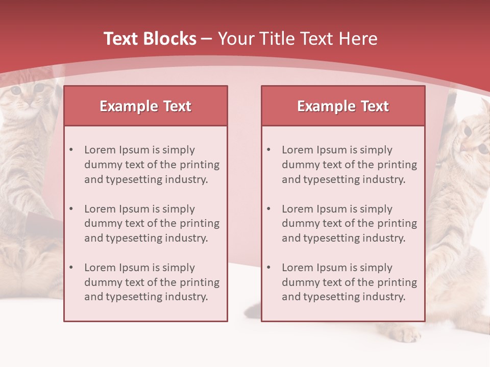 Text Funny Cat PowerPoint Template
