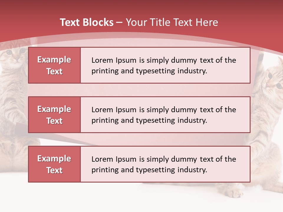 Text Funny Cat PowerPoint Template